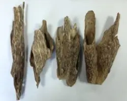 Agarwood Chips